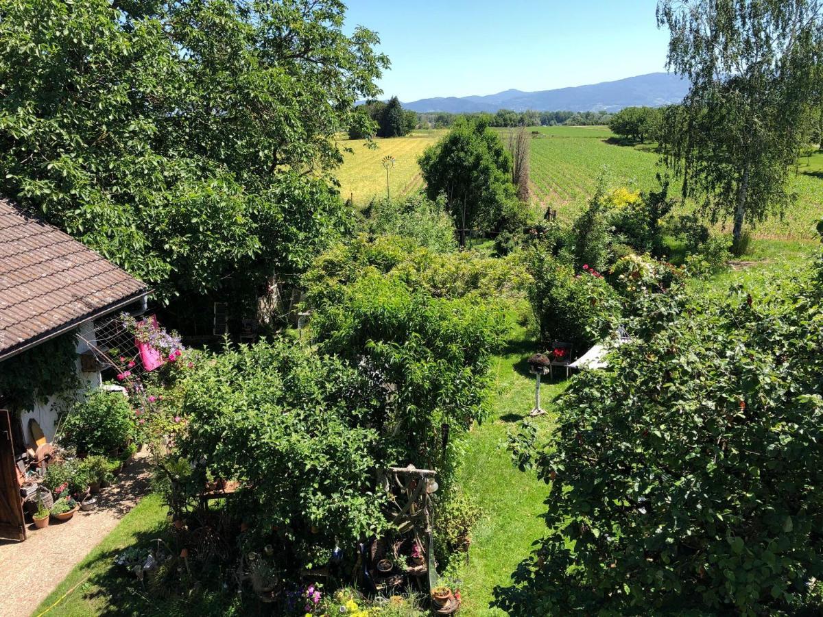 Ferienwohnung Haus Schwarzwaldblick Achern Exterior foto