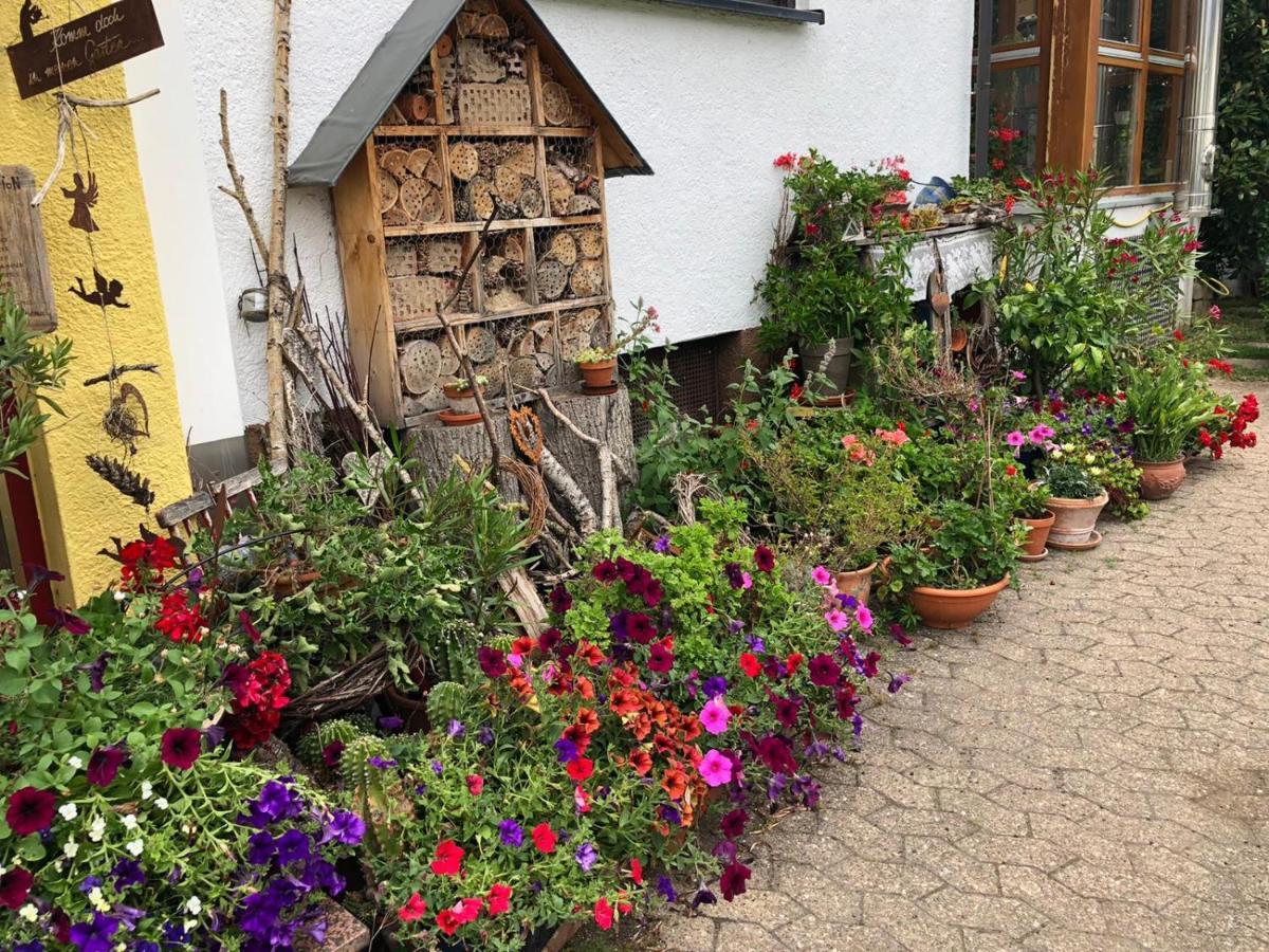 Ferienwohnung Haus Schwarzwaldblick Achern Exterior foto
